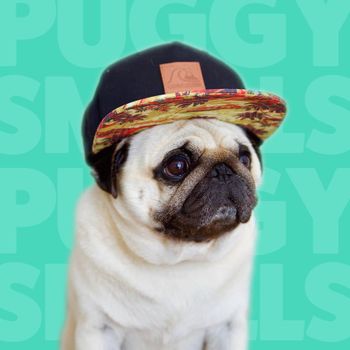 thepuggysmalls
