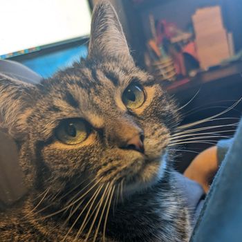 maggie_maggu