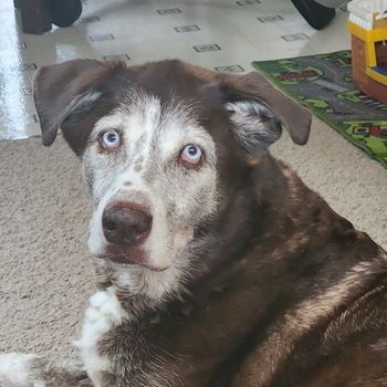 tyson