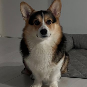 marvelousloki