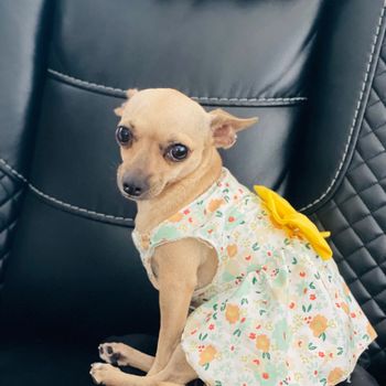 peggy21