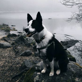 aida_the_explorer