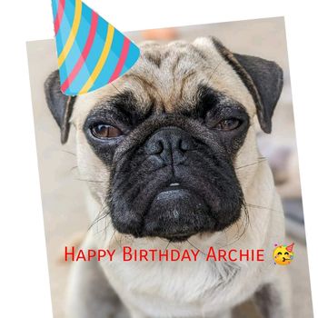 daddy_archie