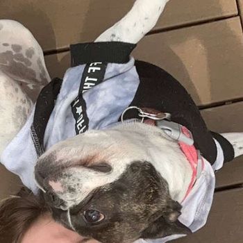 echothefrenchie