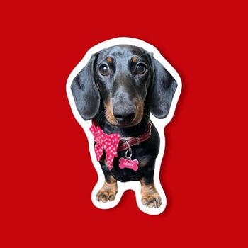 pennythelittlesausage