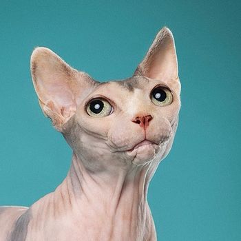 wrinklywednesday