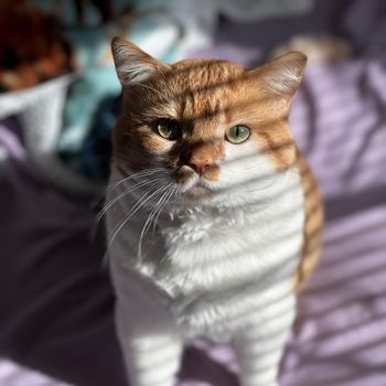 butters_thegreeneyed_beauty