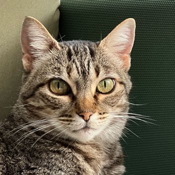 luchana