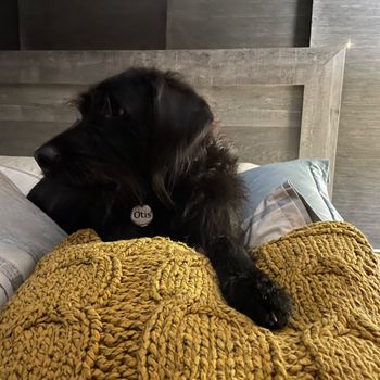 otis