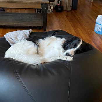 macie