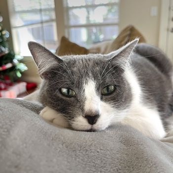 binx
