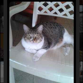 minin