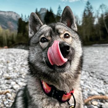 lunaexploring