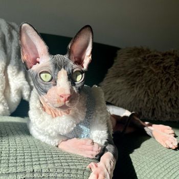 hermie_the_wormie