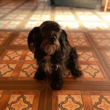 lupita