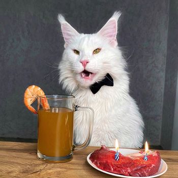kefir