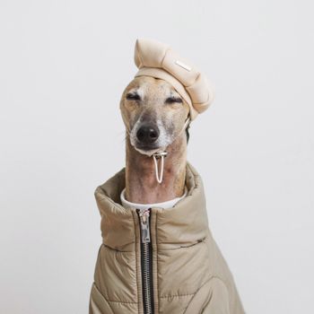 enzoelgalgoitaliano
