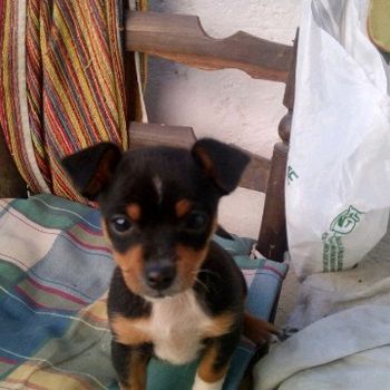 otto07