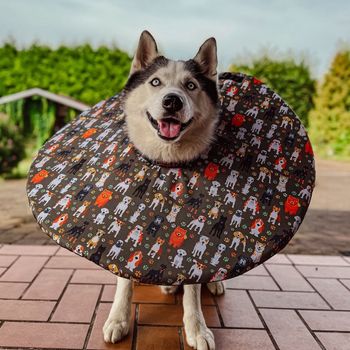huskymarvel