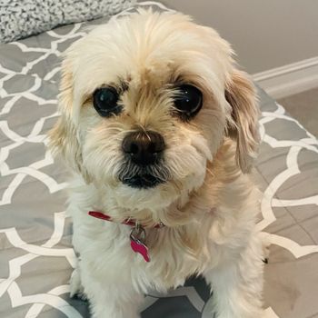 nala5