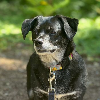 minniemuttbutt