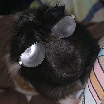 trix