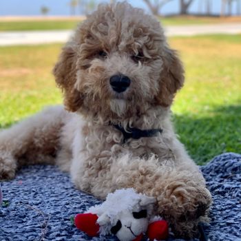 sirwinston
