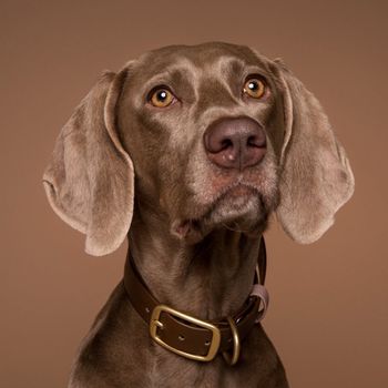 hera_weim
