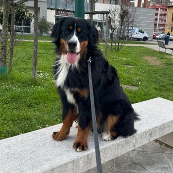paloma_berner