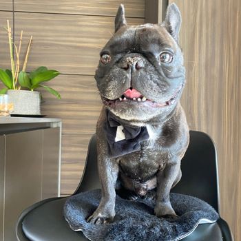 napo