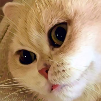 myworld