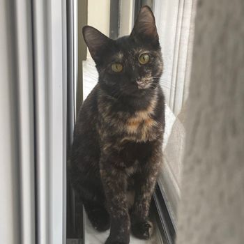 marvelouslymarble