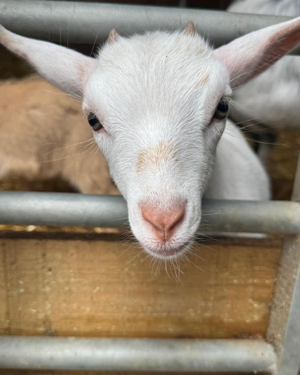 Post photo 4