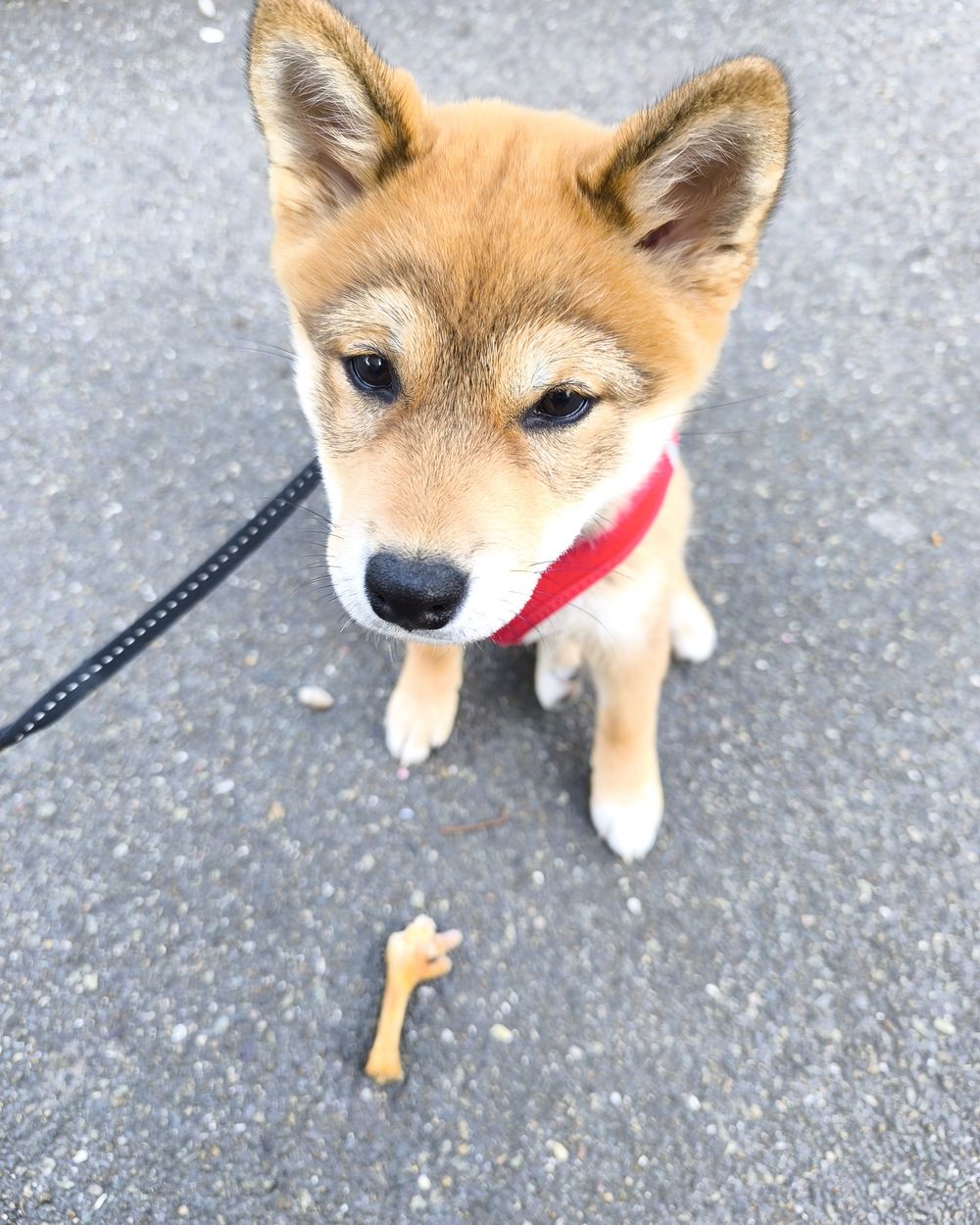Post photo 8