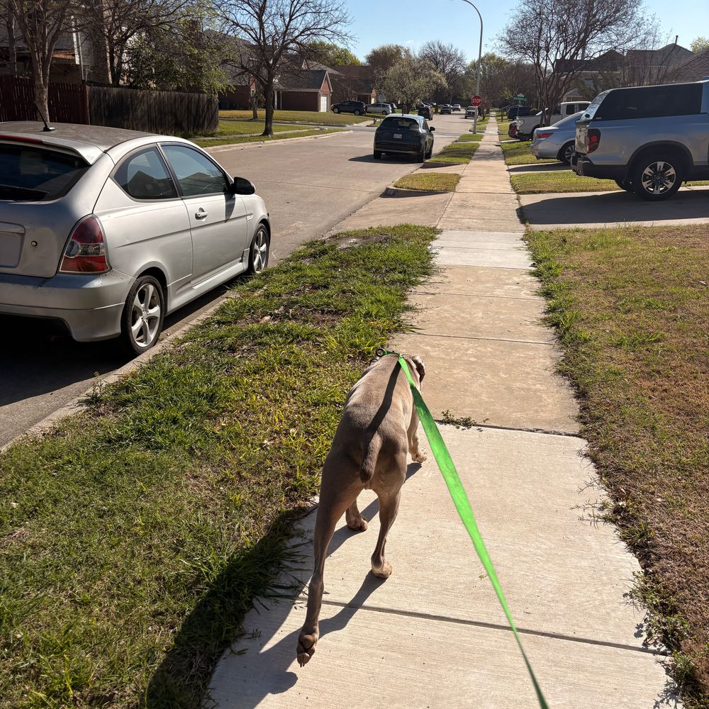 Post photo 7