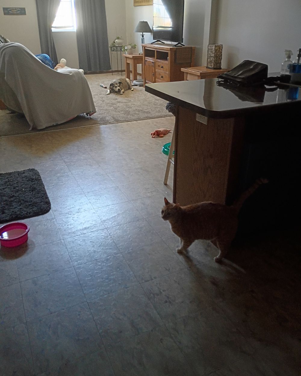 Post photo 4