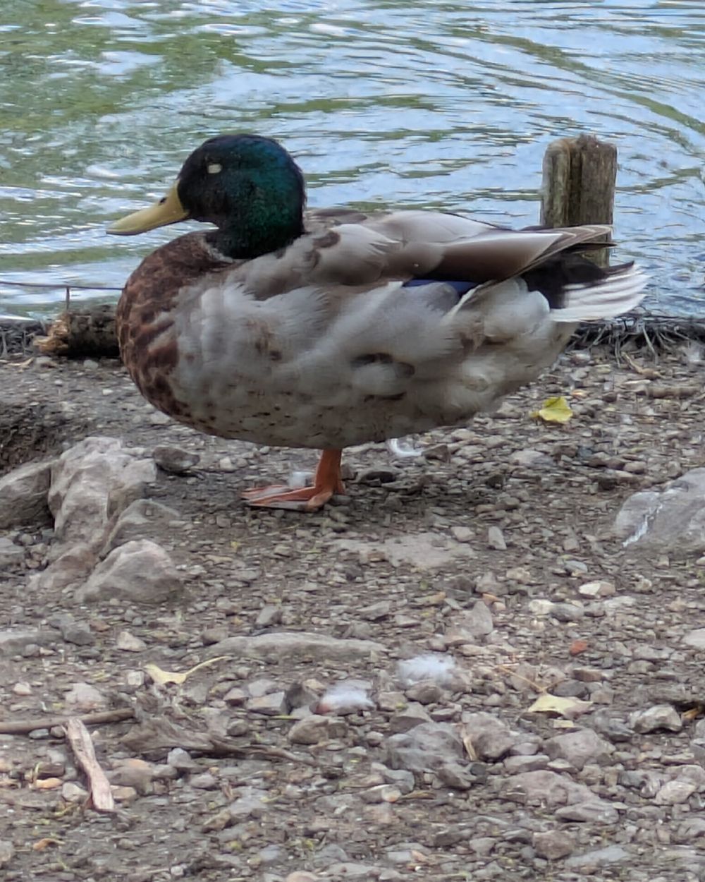 Post photo 5