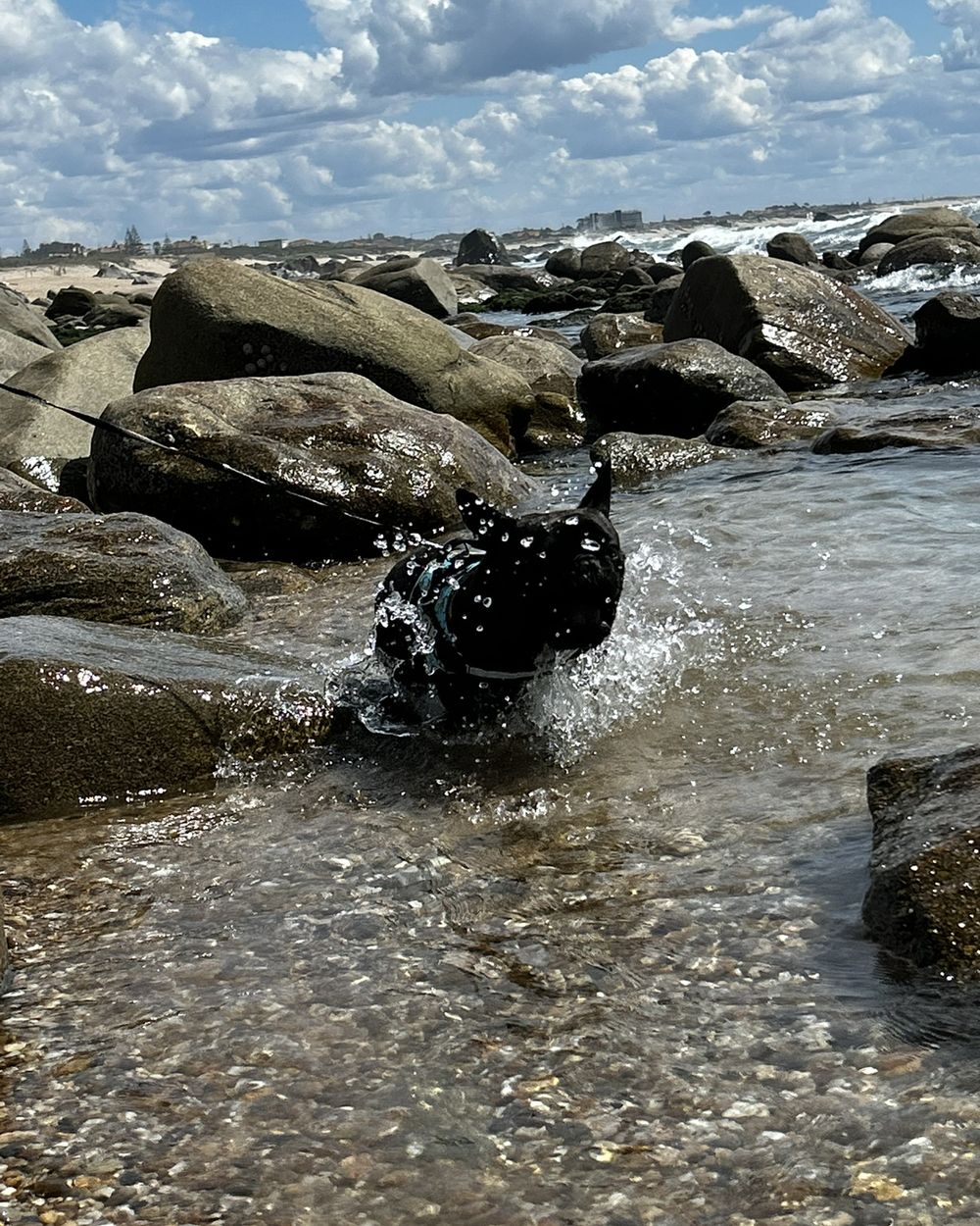 Post photo 3