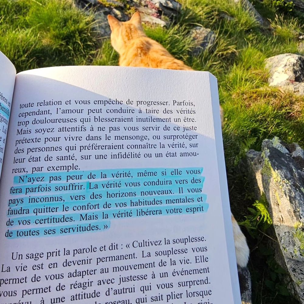 Post photo 3