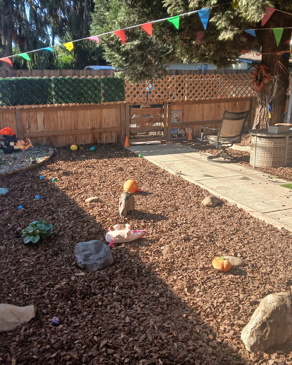 Post photo 7
