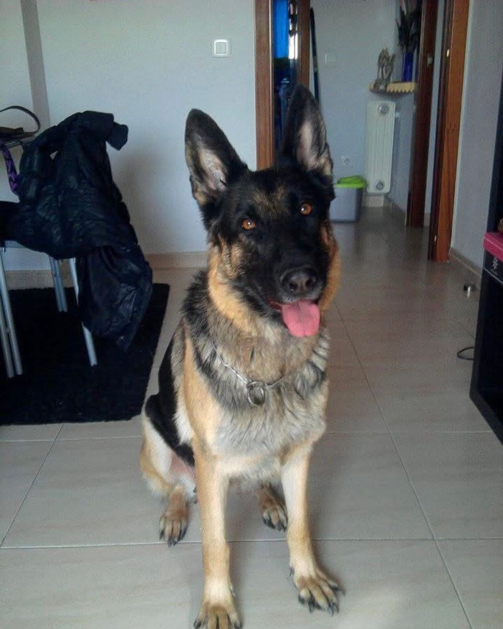 Post photo 3