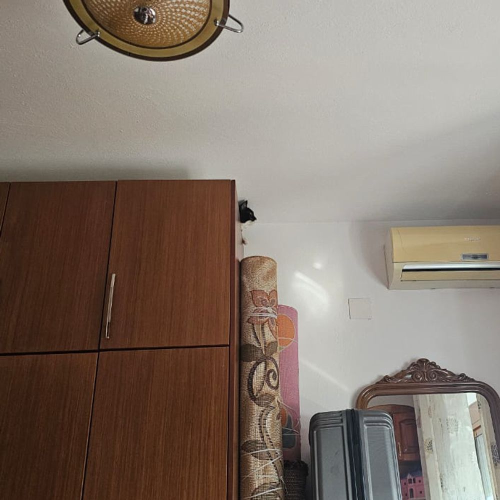 Post photo 2