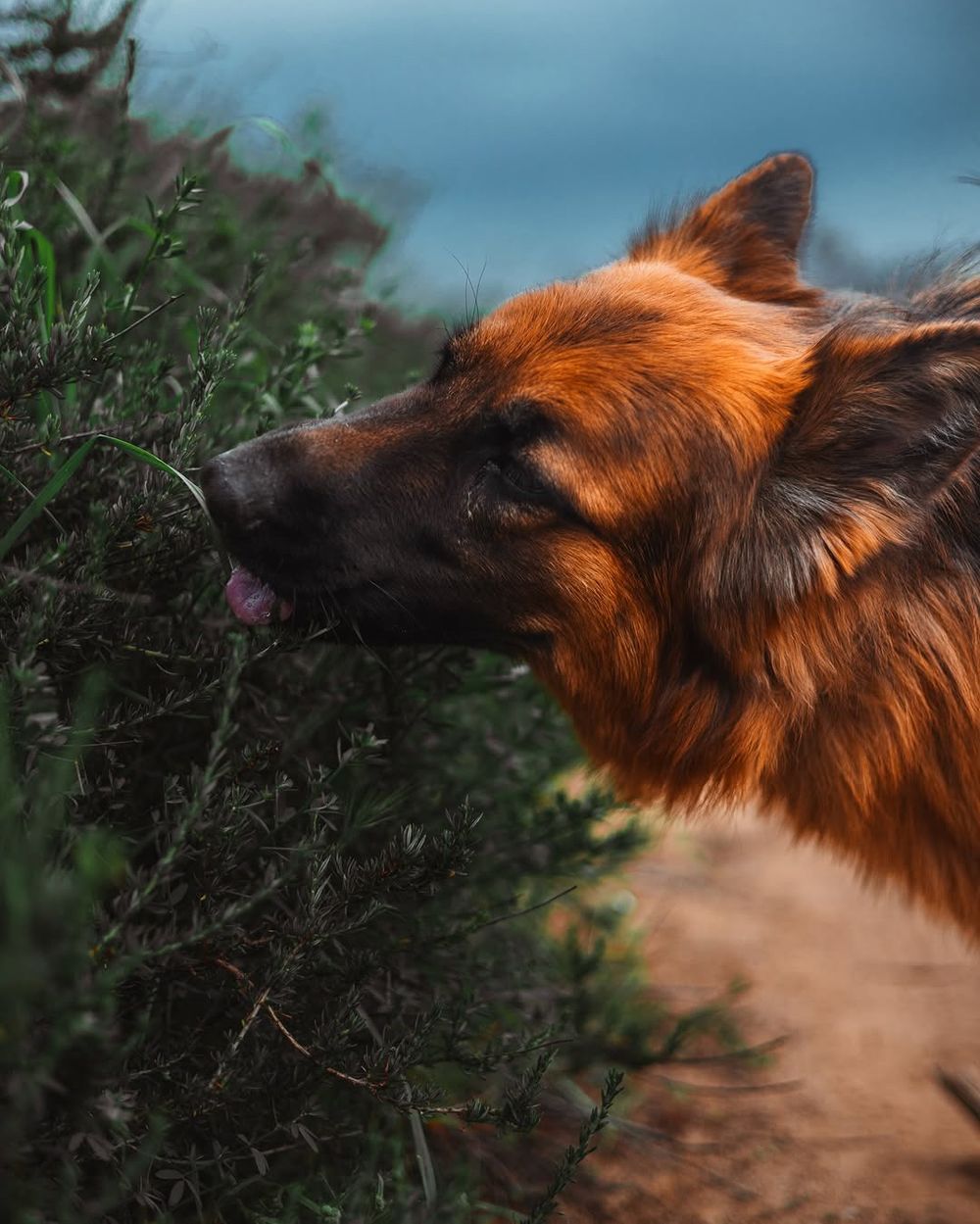 Post photo 5