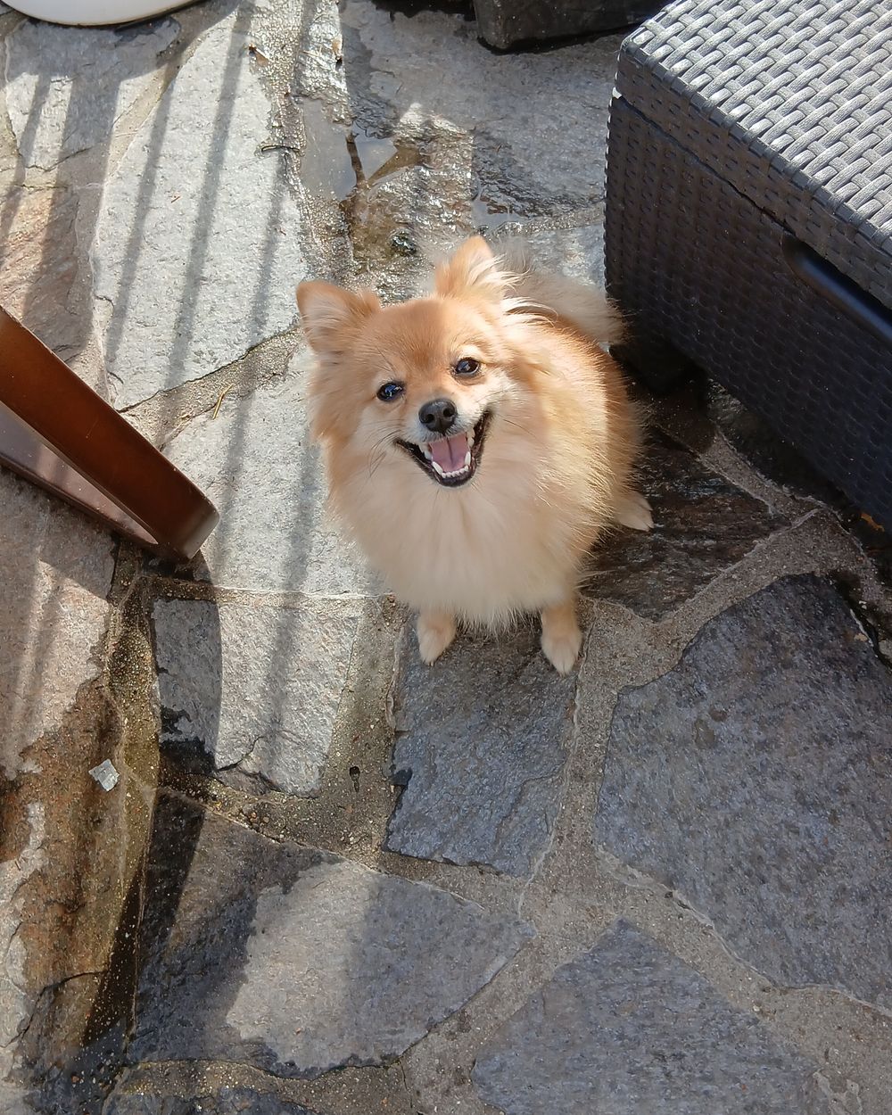 Post photo 2