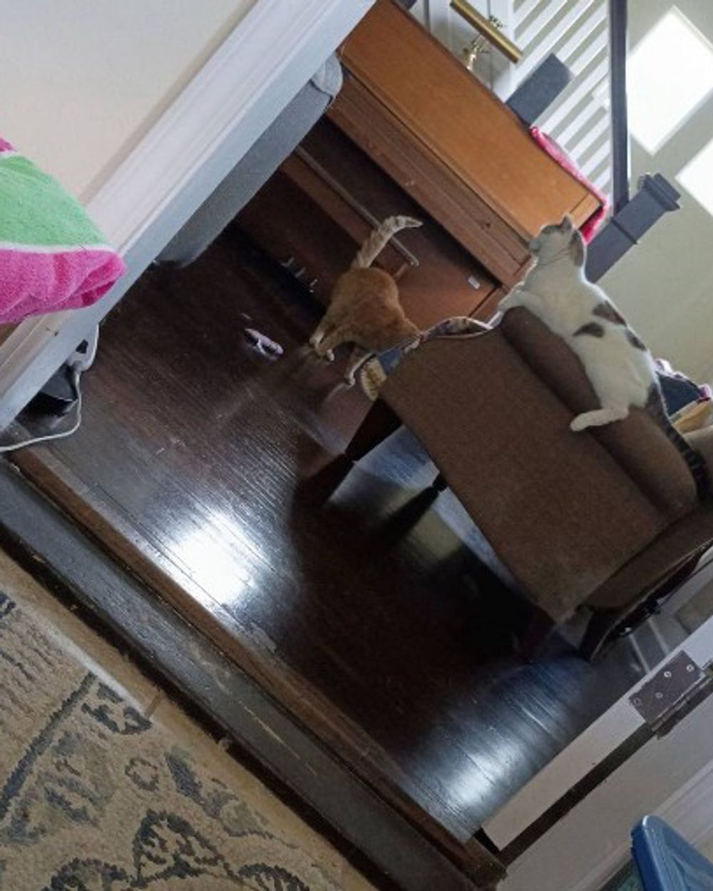 Post photo 6