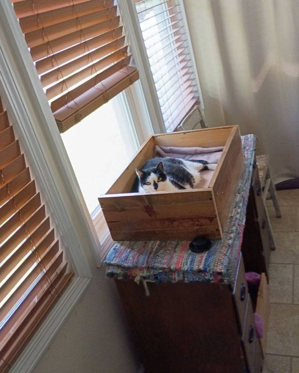 Post photo 9