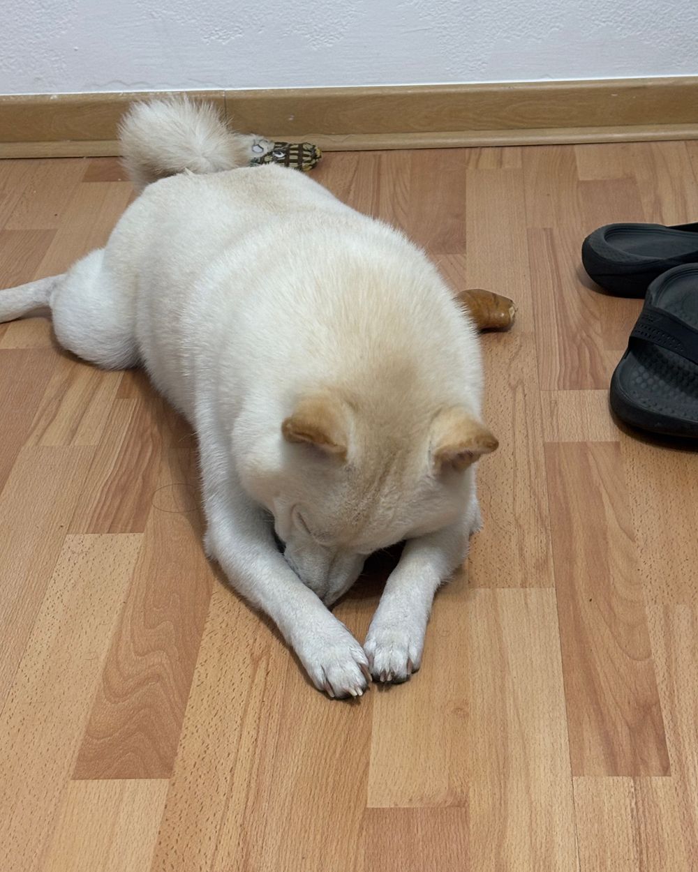 Post photo 2
