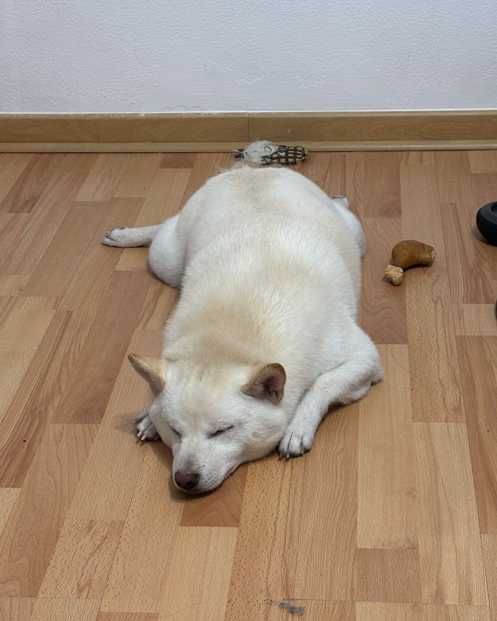 Post photo 3