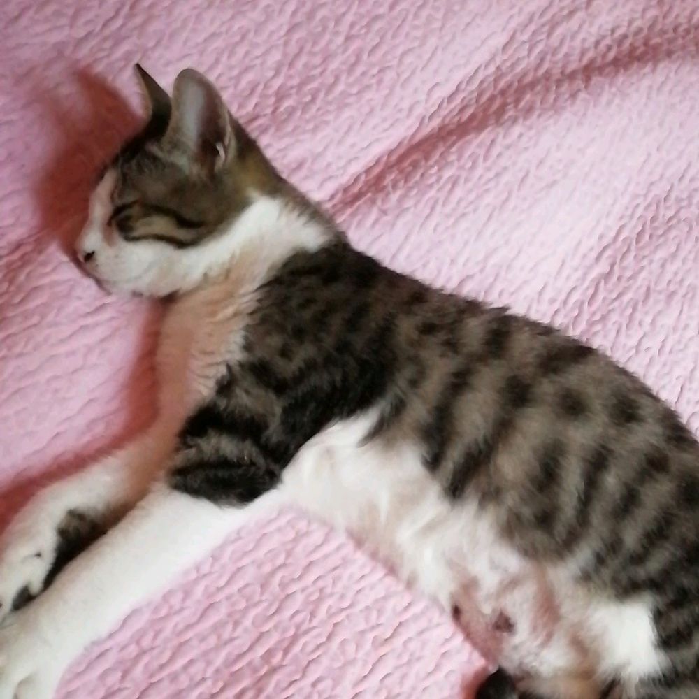 Post photo 3
