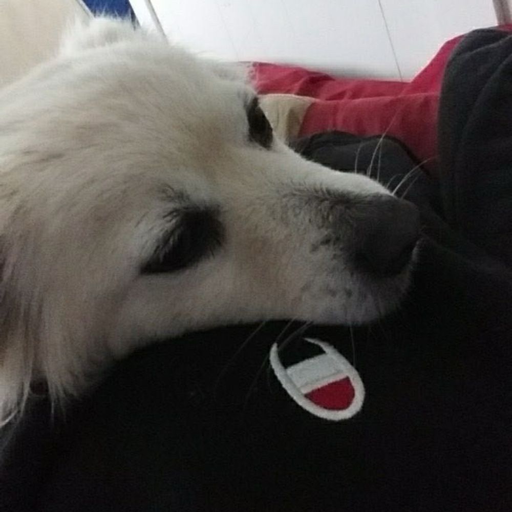 Post photo 6